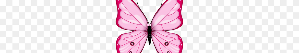 Butterfly Vector Clipart, Flower, Petal, Plant, Appliance Png