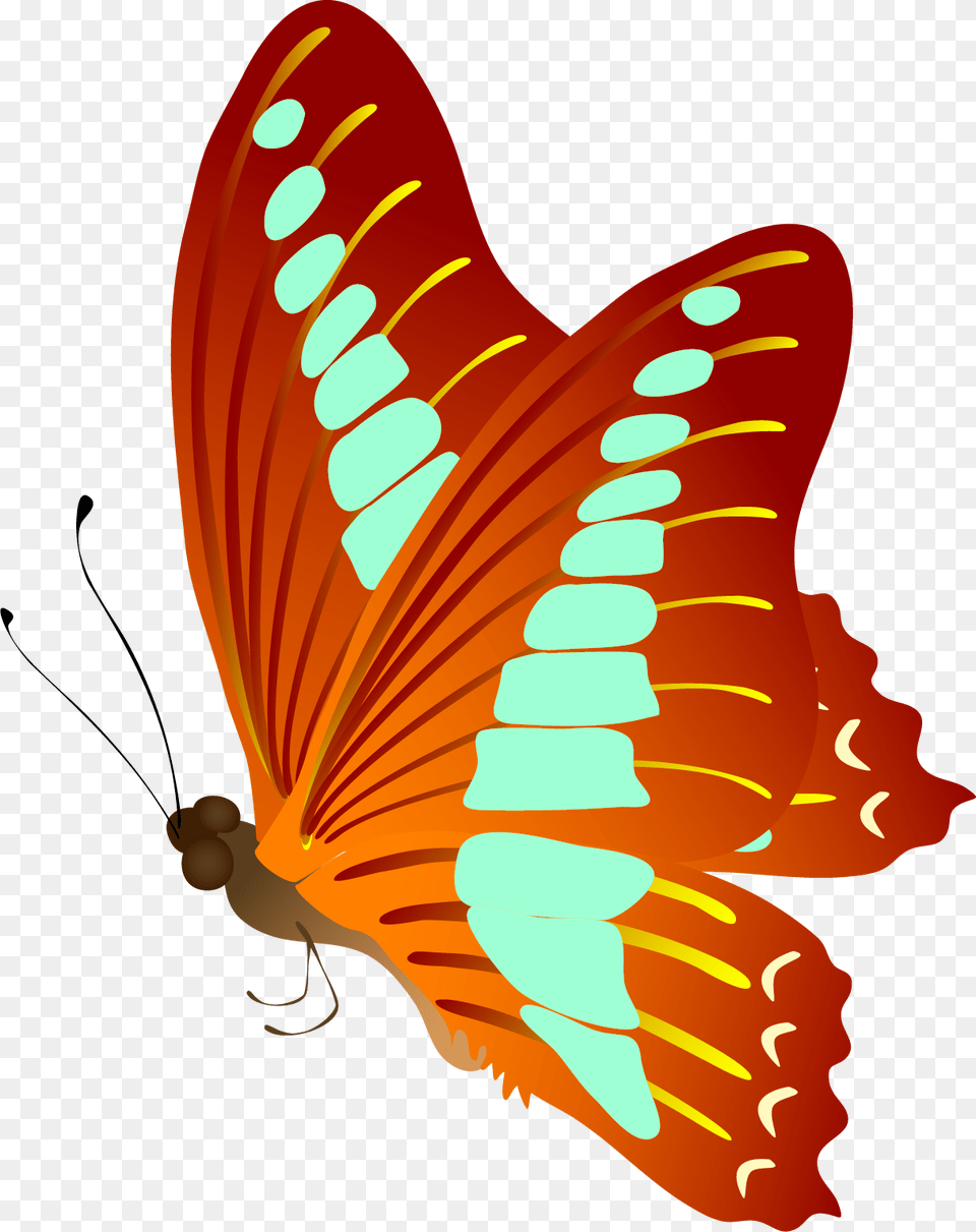 Butterfly Vector Free, Animal, Insect, Invertebrate, Dynamite Png Image