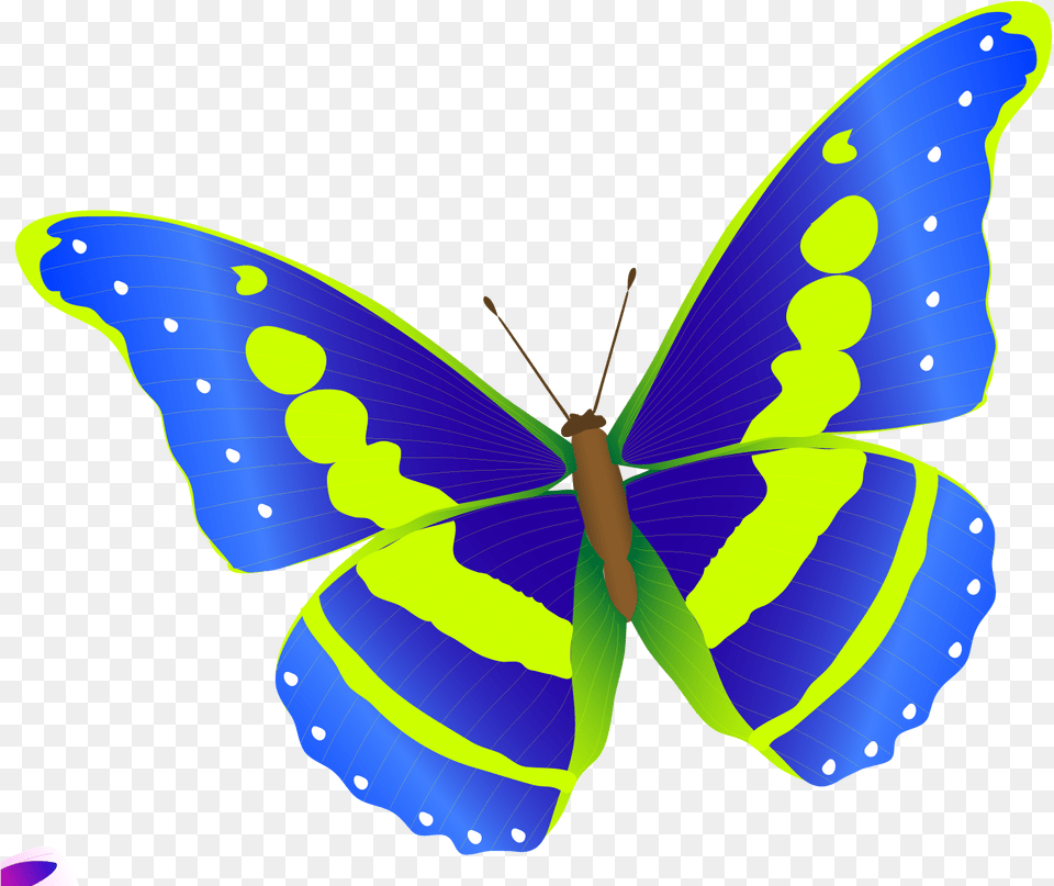 Butterfly Vector Free, Animal, Insect, Invertebrate Png Image