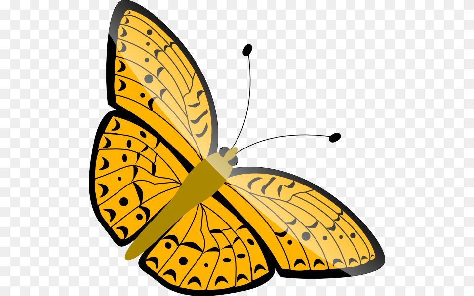 Butterfly Vector Gif, Animal, Insect, Invertebrate Png