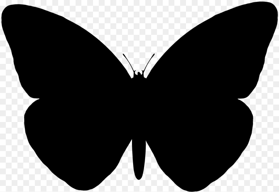 Butterfly Vector Graphics Portable Network Graphics Silhouette Butterfly Vector, Gray Free Png Download