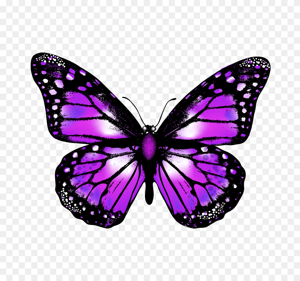 Butterfly Vector Transparent Transparent Background Purple Butterfly Transparent, Chandelier, Lamp, Accessories, Animal Png Image