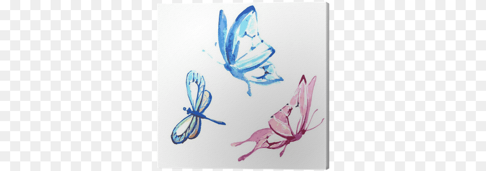 Butterfly Watercolour Painting, Art, Graphics, Floral Design, Pattern Png Image