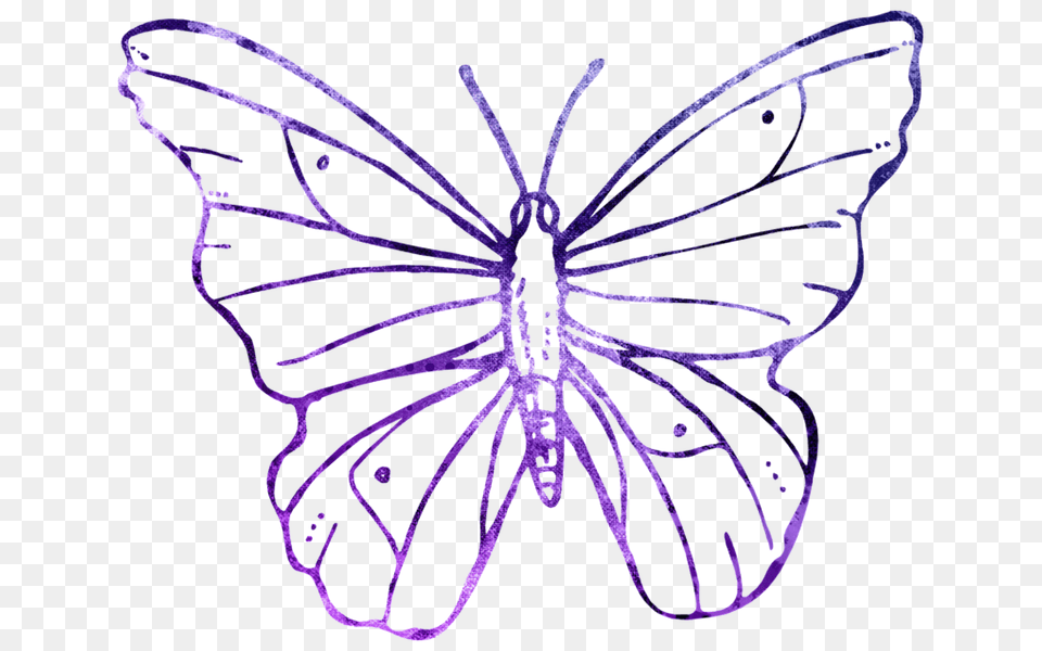 Butterfly Web, City, Purple, Art, Graphics Free Transparent Png