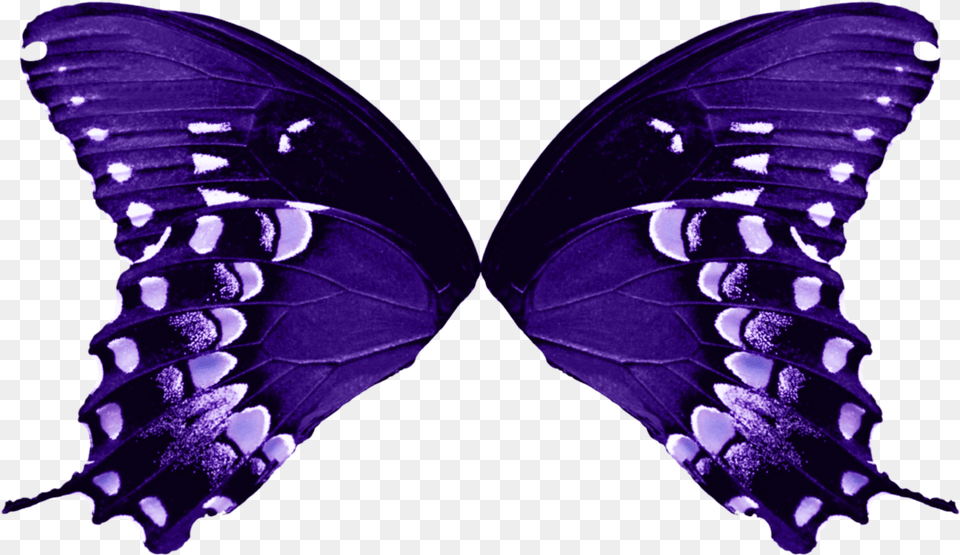 Butterfly Wing Amp Butterfly Wing Transparent, Purple, Animal, Insect, Invertebrate Png Image
