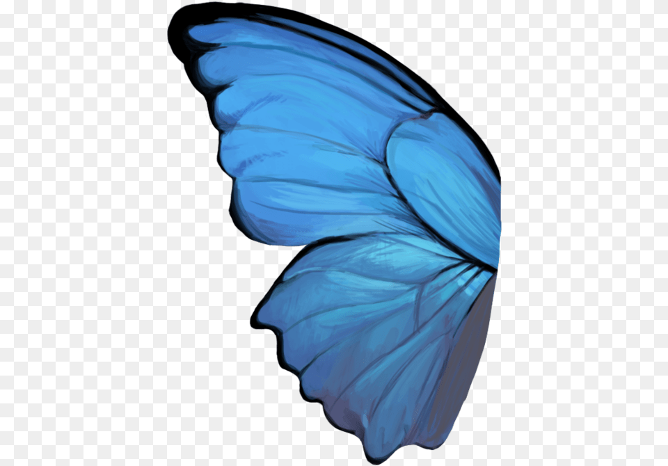 Butterfly Wing Blue Butterfly Wings, Adult, Female, Person, Woman Free Transparent Png