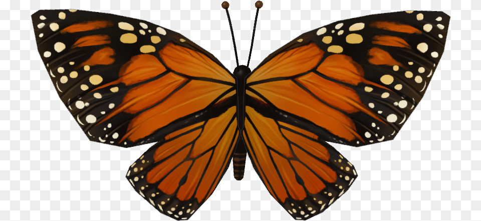 Butterfly Wing Butterfly Wing File, Animal, Insect, Invertebrate, Monarch Png