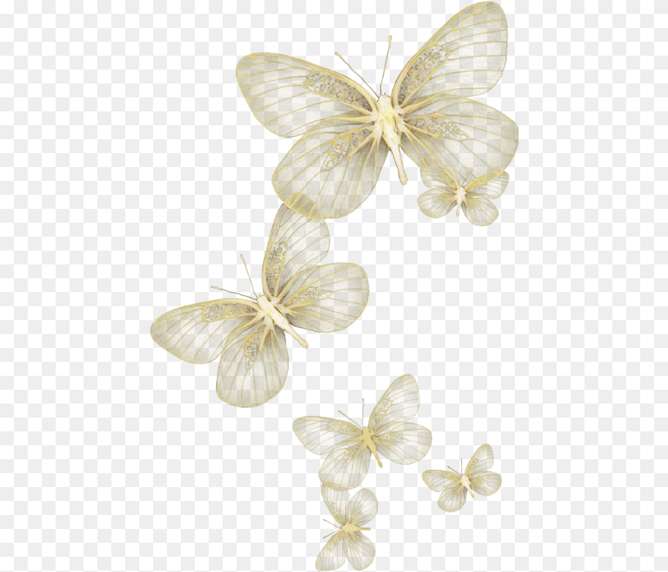 Butterfly Wing Moth Fly Sky Yellow Glitter Wind Flying White Butterfly Transparent Background, Plant, Animal, Insect, Invertebrate Png