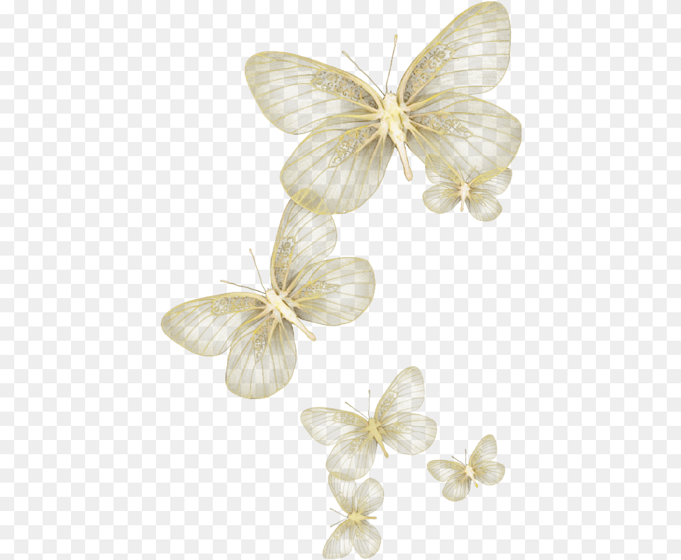 Butterfly Wing Moth Fly Sky Yellow Glitter Wind Transparent White Butterfly, Plant, Animal, Insect, Invertebrate Png