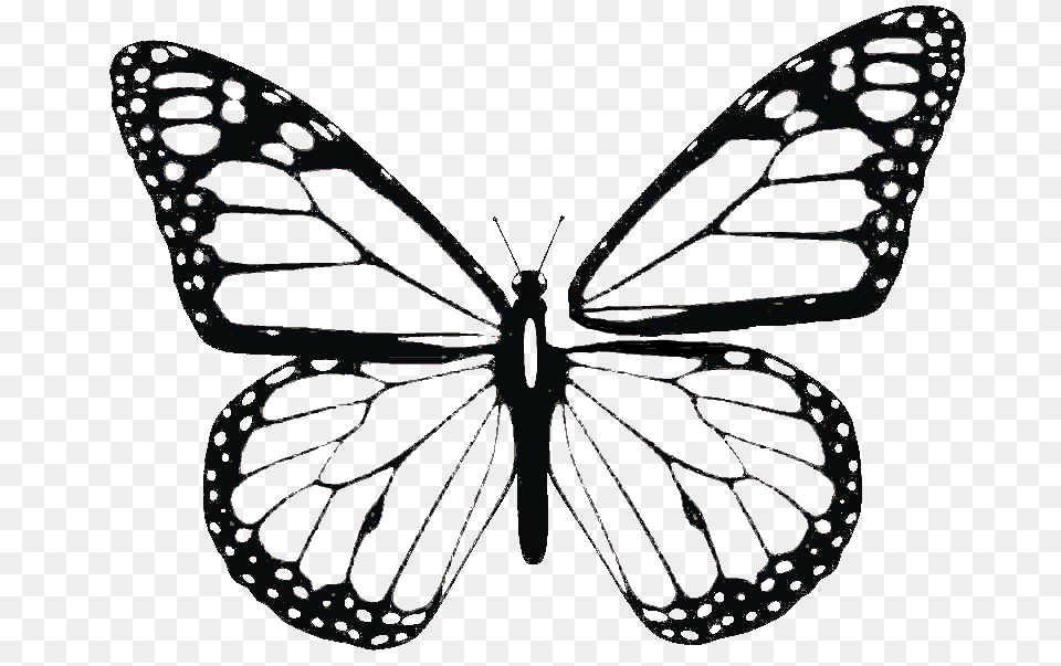 Butterfly Wing Patterns, Appliance, Ceiling Fan, Device, Electrical Device Free Png