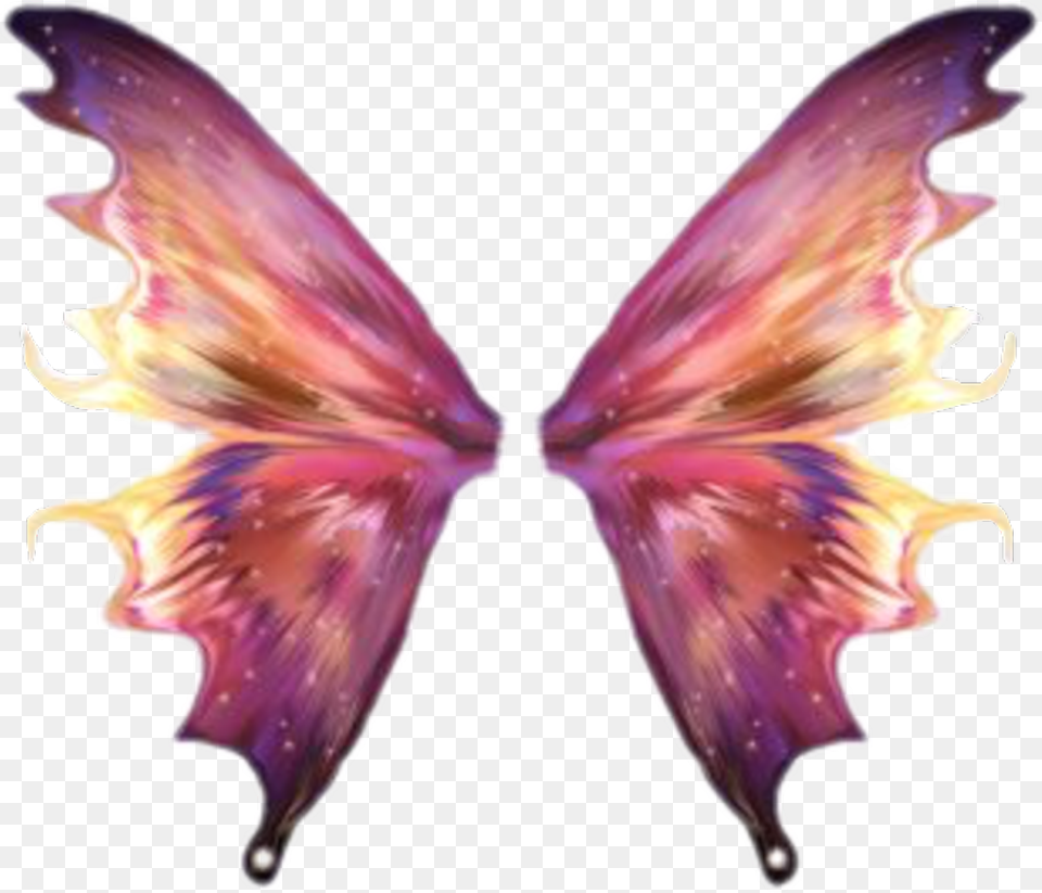 Butterfly Wing Wings Freetoedit Fairy Wings, Flower, Petal, Plant, Purple Free Transparent Png