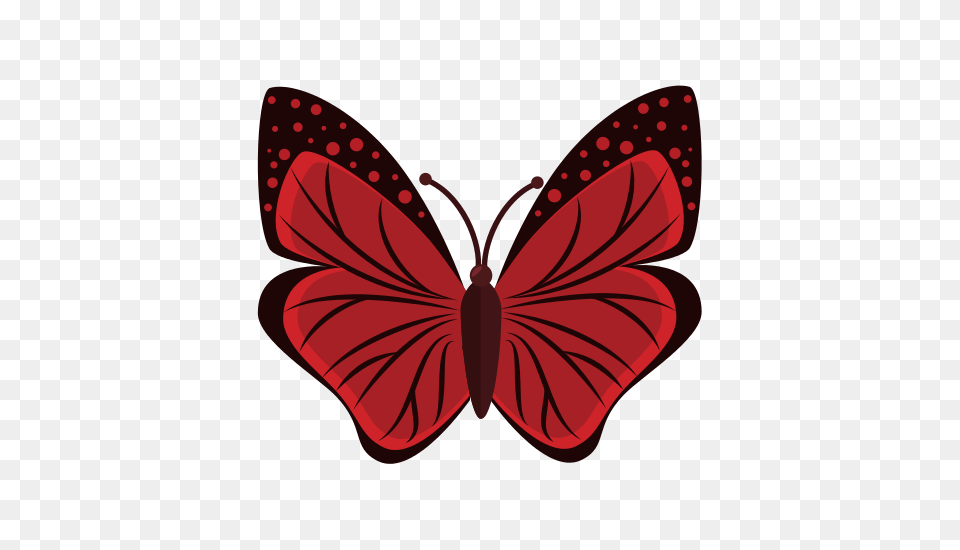 Butterfly Wings, Maroon, Animal, Insect, Invertebrate Png