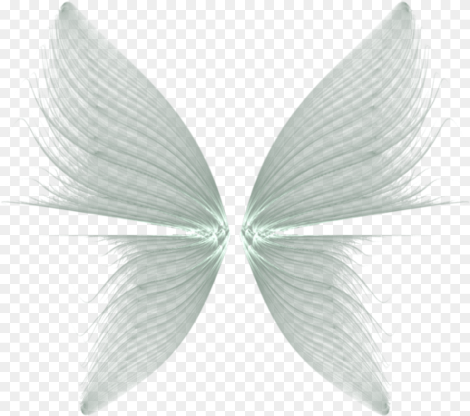 Butterfly Wings Background, Accessories, Art, Graphics, Adult Png