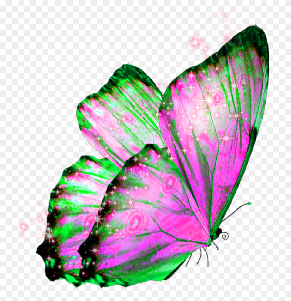 Butterfly Wings Butterflywings Fairy, Purple, Accessories, Plant Free Transparent Png