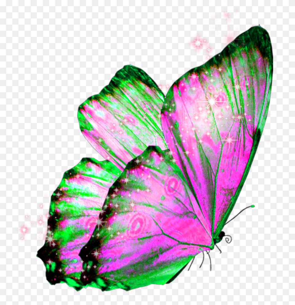 Butterfly Wings Butterflywings Fairy Transparent Beautiful Background, Purple, Accessories, Plant Png