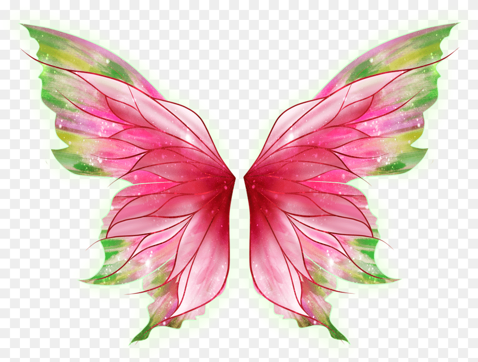 Butterfly Wings Butterflywings Pinkwings Fairy Butterfly Wings Background, Leaf, Plant, Flower, Petal Png Image