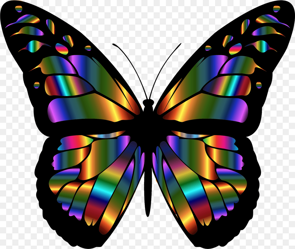 Butterfly Wings Clipart Colorful Butterfly Svg, Art, Graphics, Pattern, Accessories Free Png Download