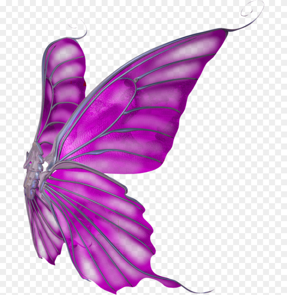 Butterfly Wings Clipart Download, Purple, Accessories, Animal, Insect Png