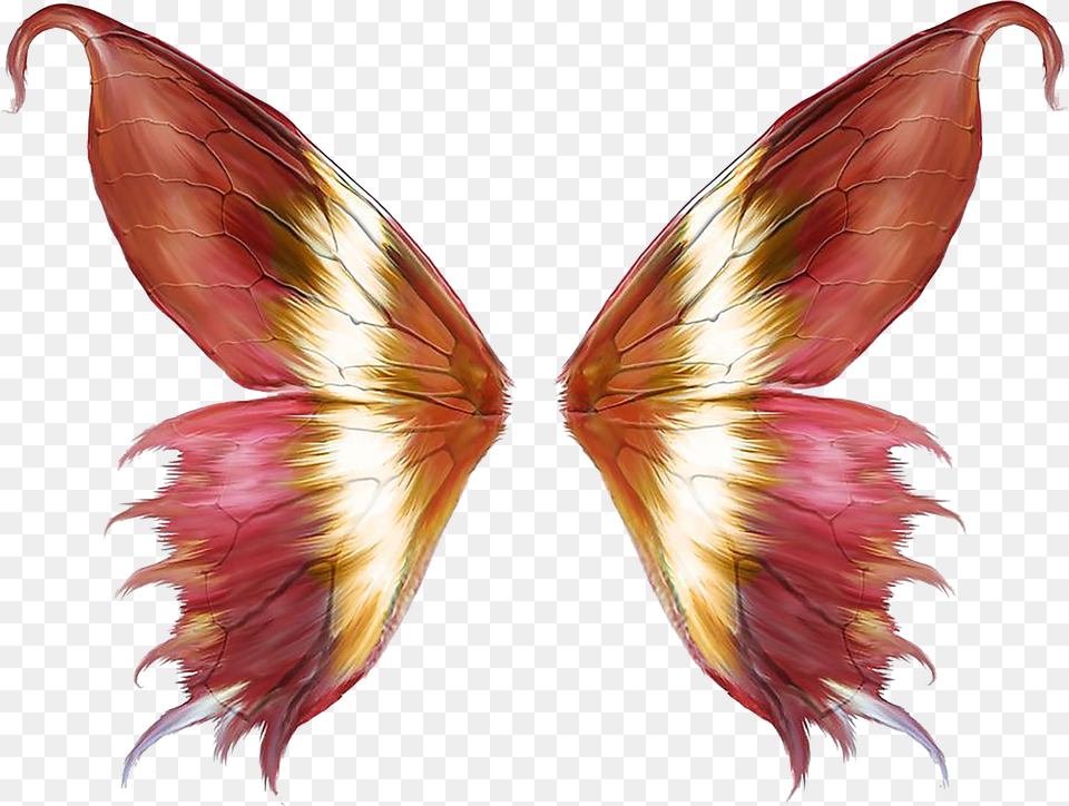 Butterfly Wings Clipart Download Butterfly Wings Vector, Animal, Bird, Accessories, Art Png