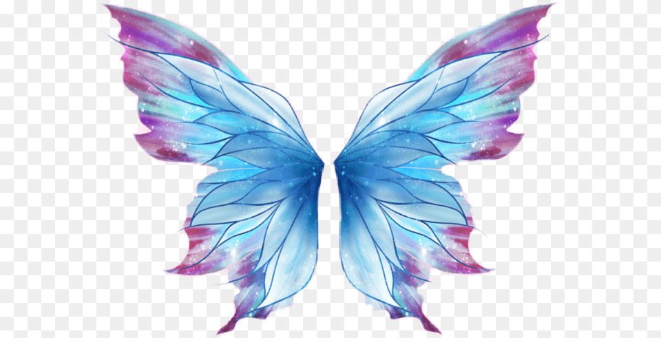 Butterfly Wings Download Transparent Fairy Wings, Leaf, Plant, Accessories, Person Png