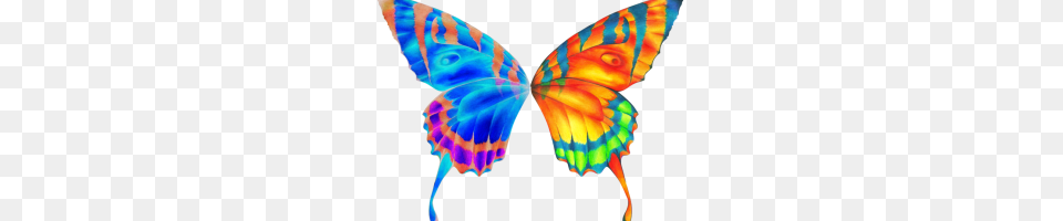 Butterfly Wings Accessories, Baby, Person, Animal Png Image