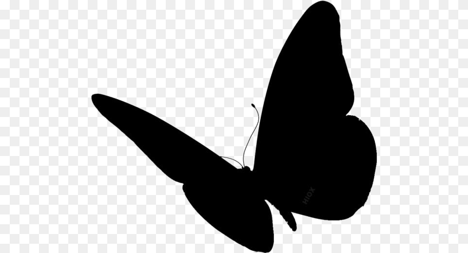 Butterfly Wings Image With Transparent Background Butterfly Silhouette Side View, Bow, Weapon Png