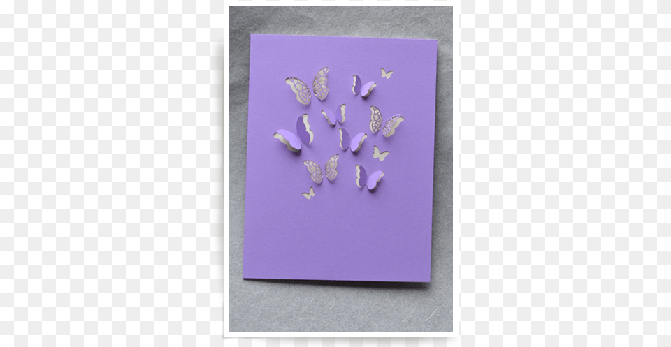 Butterfly Wings Lily, Envelope, Greeting Card, Mail, White Board Free Png Download