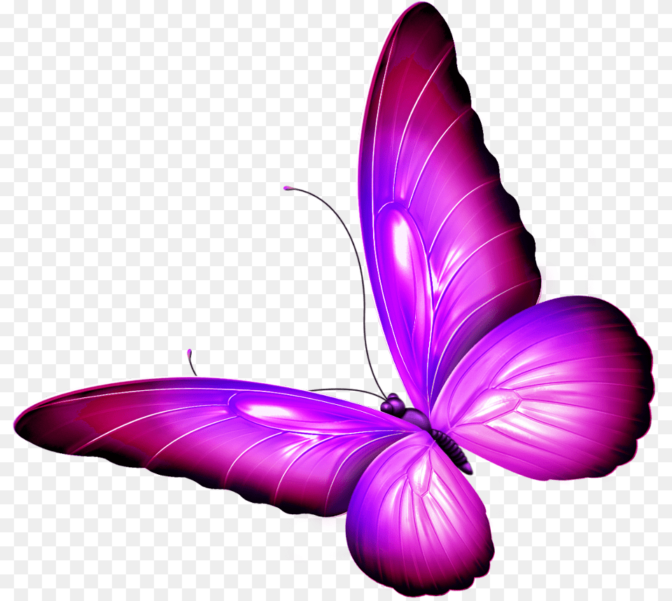 Butterfly Wings Pink Purple Shaded Wingedcreatures Brush Footed Butterfly, Art, Graphics, Pattern, Flower Free Transparent Png