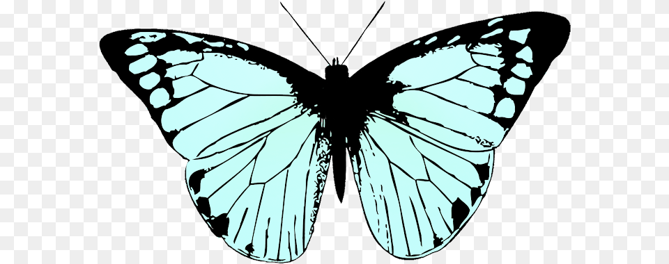 Butterfly Wings With A Background, Person, Animal, Insect, Invertebrate Free Transparent Png