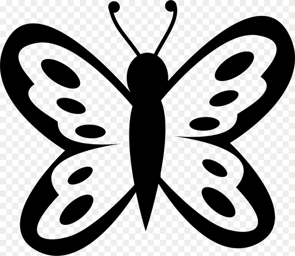 Butterfly With Spots On Wings From Top View Mariposa Con Manchas, Stencil, Animal, Bee, Insect Free Png