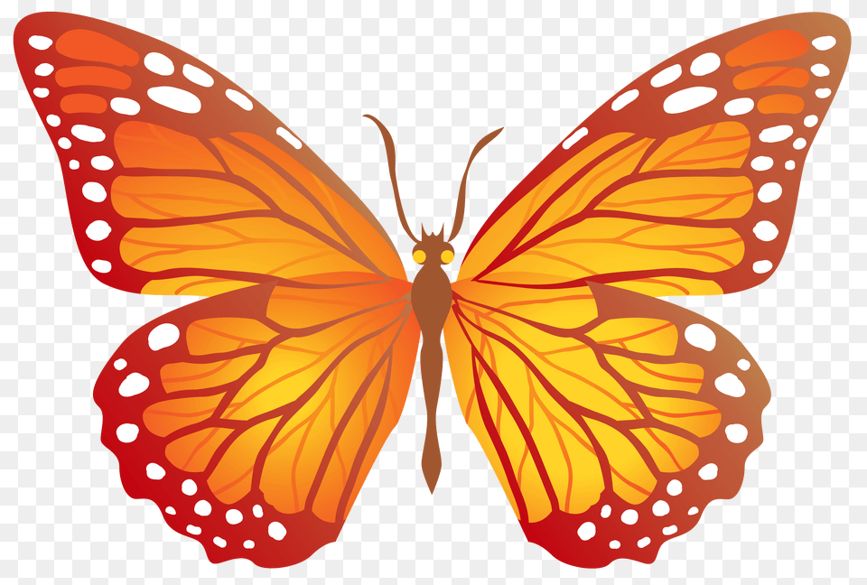 Butterfly With Yellow, Animal, Insect, Invertebrate, Monarch Free Transparent Png