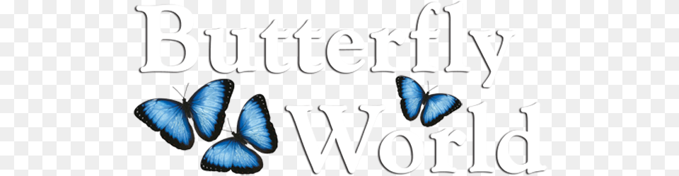 Butterfly World Where Exotic Butterflies And Birds Butterfly World Logo, Animal, Insect, Invertebrate Png Image