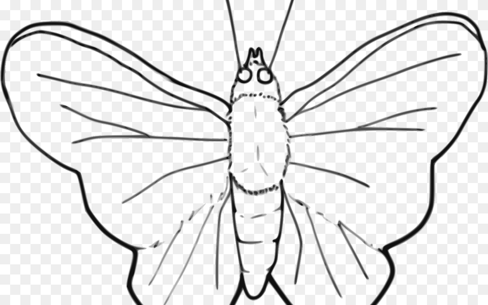 Butterfly X Carwad Net Black White Clipart Moth, Animal, Bee, Insect, Invertebrate Free Png Download