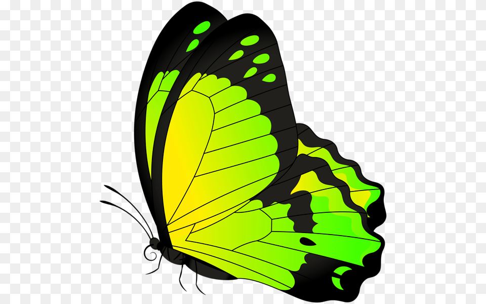 Butterfly Yellow Green Transparent Clip Art Gallery, Leaf, Plant, Animal, Insect Free Png