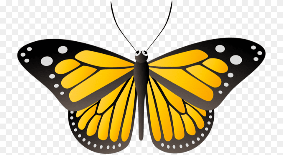 Butterfly Yellow Yellow Clipart Butterfly Transparent, Animal, Insect, Invertebrate, Monarch Free Png