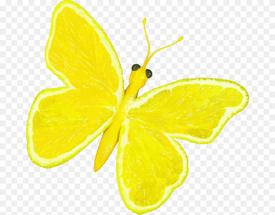 Butterflylemon Limelemon Cartoon Photos Of A Yellow Butterfly, Citrus Fruit, Food, Fruit, Lemon Free Png Download