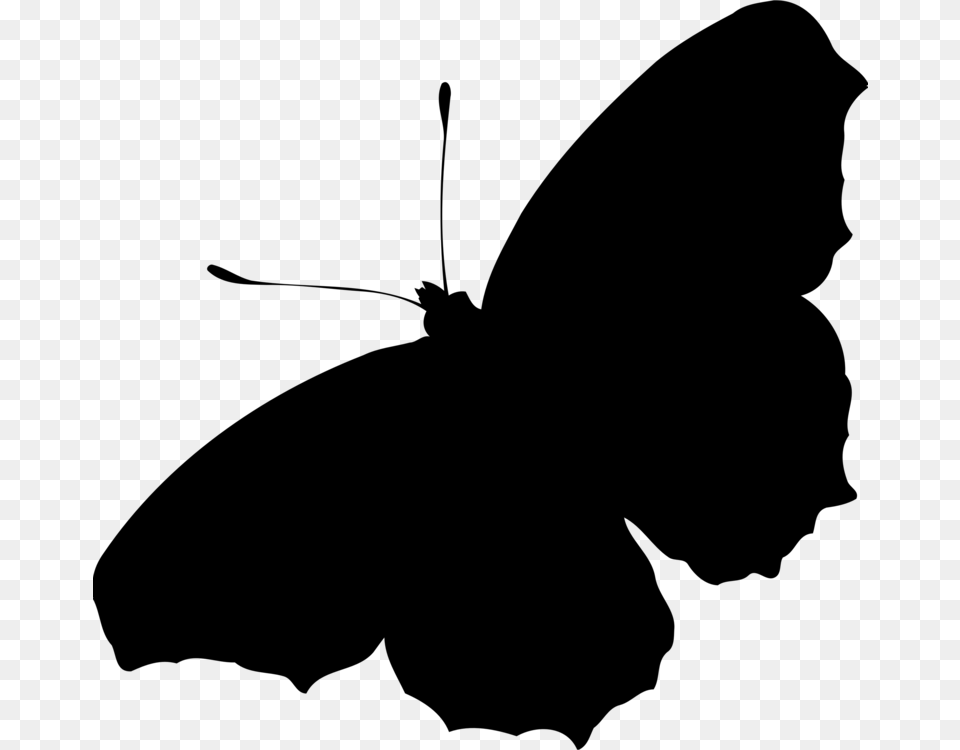 Butterflyplantflower Butterfly Silhouette, Gray Free Transparent Png