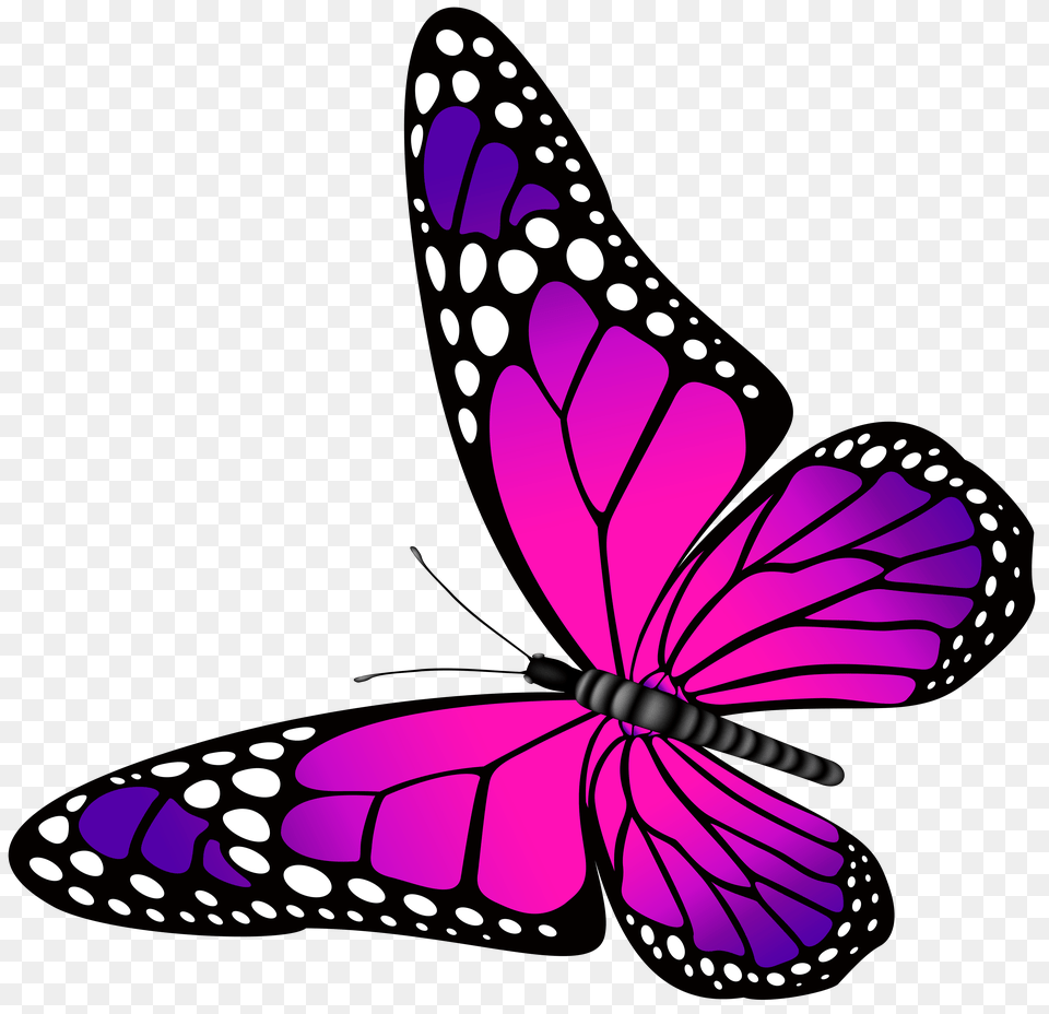 Butterflys Butterfly, Purple, Animal, Insect, Invertebrate Free Transparent Png