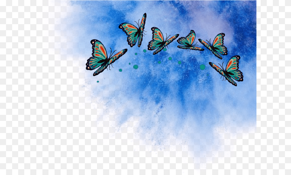 Butterflys Schmetterling Explosion Blau Wolke, Animal, Butterfly, Insect, Invertebrate Free Png