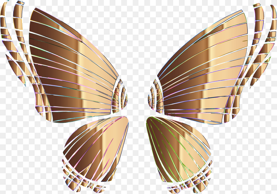 Butterflysymmetrymoth Alas De Mariposa, Graphics, Art, Accessories, Formal Wear Free Transparent Png