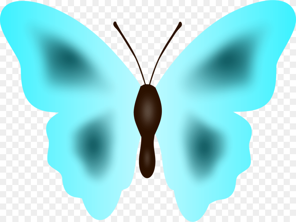 Butterflysymmetrymoth Lycaenid, Animal, Butterfly, Insect, Invertebrate Free Png