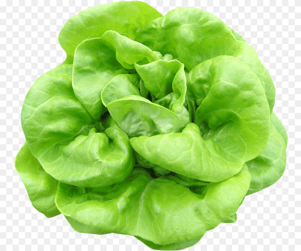 Butterhead Lettuce Image Spinach, Food, Plant, Produce, Vegetable Free Png