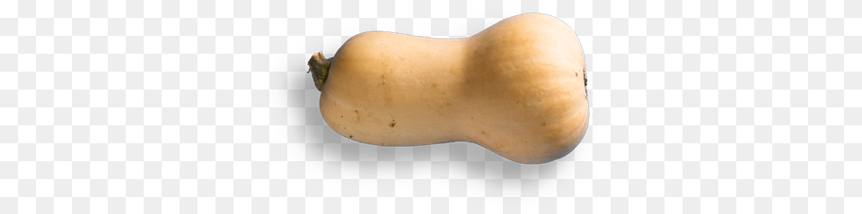 Butternut Squash, Vegetable, Food, Produce, Plant Free Transparent Png