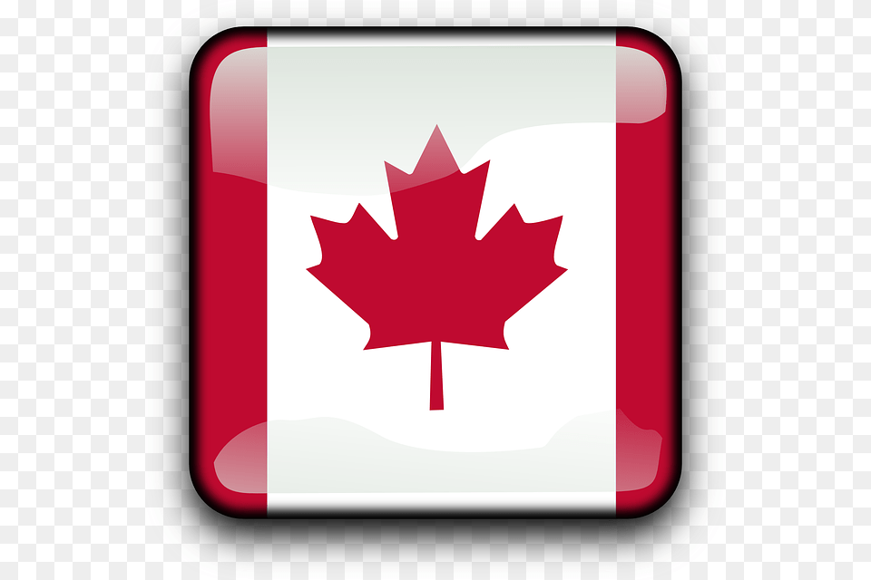 Button Country Flag Canada Maple Maple Leaf Leaf Canada Flag, Maple Leaf, Plant, First Aid, Tree Free Png