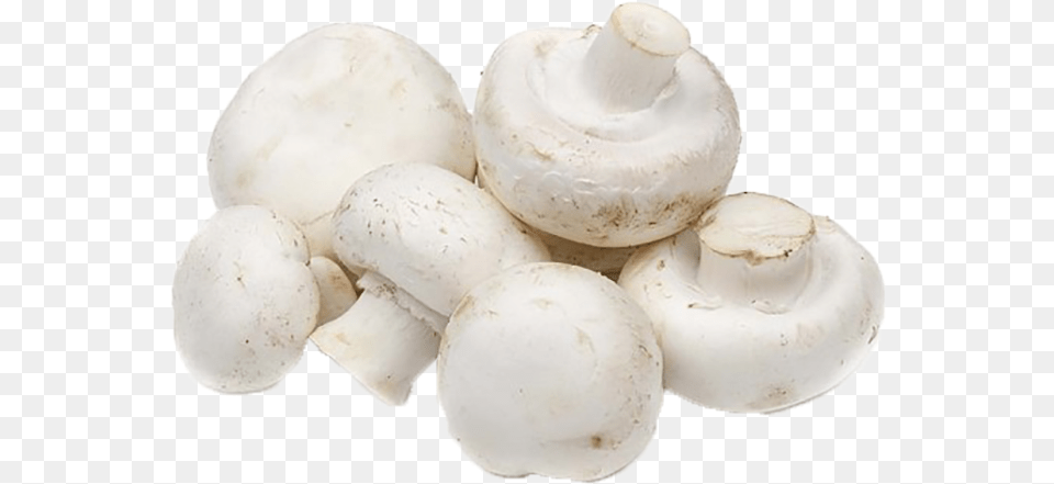 Button Mushroom, Egg, Food, Fungus, Plant Free Transparent Png