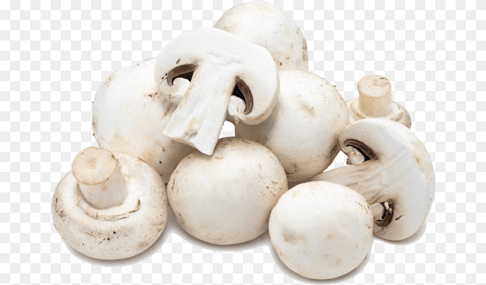 Button Mushrooms Mushroom, Fungus, Plant, Egg, Food Png Image