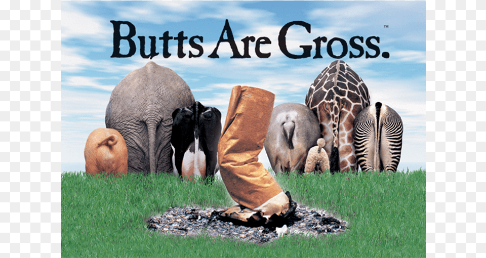 Butts Are Gross Poster, Animal, Field, Mammal, Nature Free Png Download