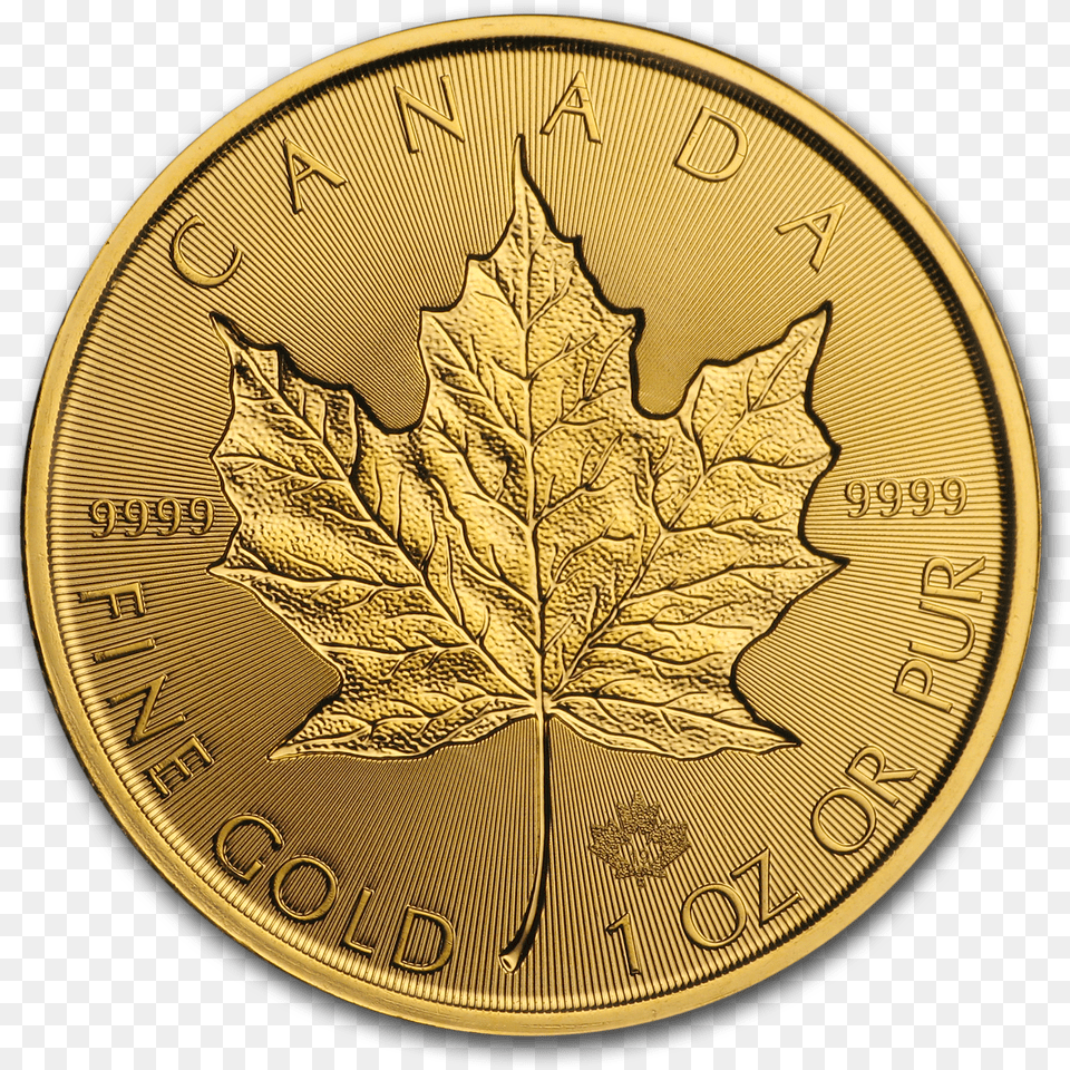 Buy 2019 Canada 1 Oz Gold Incuse Maple Leaf Bu Coin 2019 1 Oz Gold Maple Leaf, Plant Free Png Download
