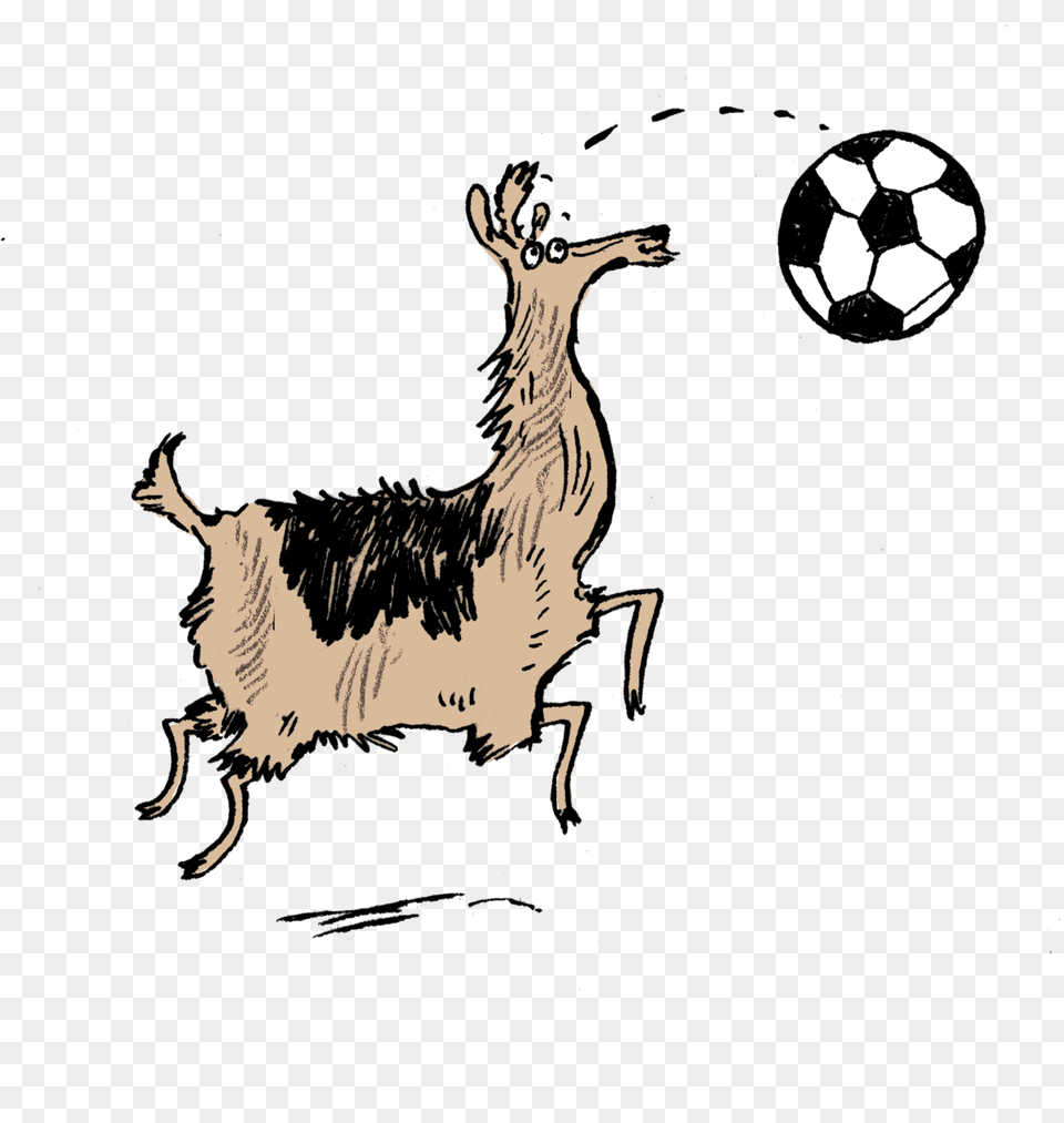 Buy A Copy Of The Brilliant Llama United, Animal, Sport, Soccer Ball, Soccer Png Image