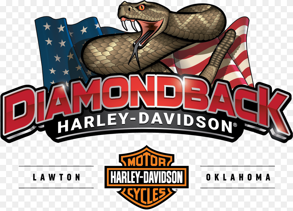 Buy A Harley Dealer Diamondback Davidson Diamondback Harley Davidson Lawton Ok, Animal, Reptile, Snake, Dinosaur Free Png Download